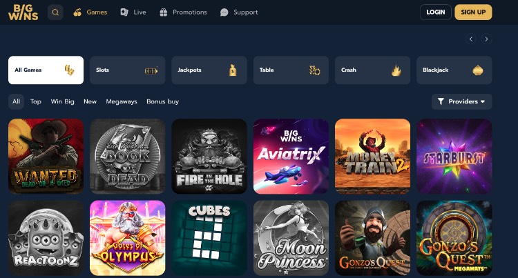 Big Wins Bitcoin Casino