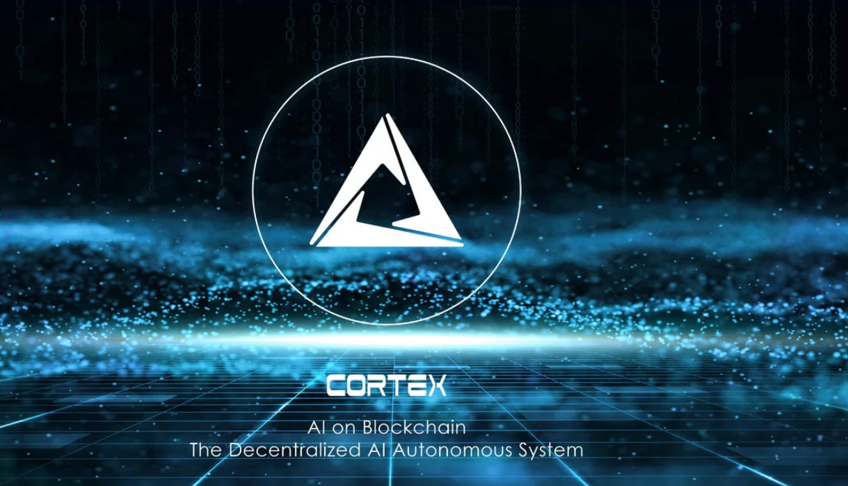 cortex