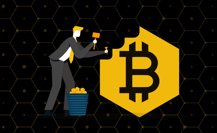 Bitcoin BSC Kurs Vorhersage 2025