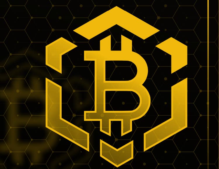Bitcoin BSC Kurs Vorhersage 2030