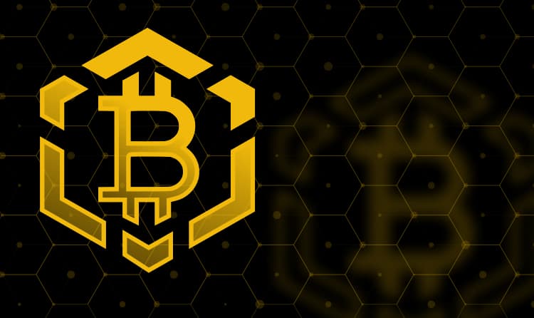 Bitcoin BSC Preis Historie