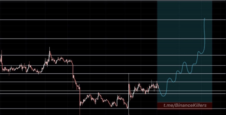 krypto signale von binance killer