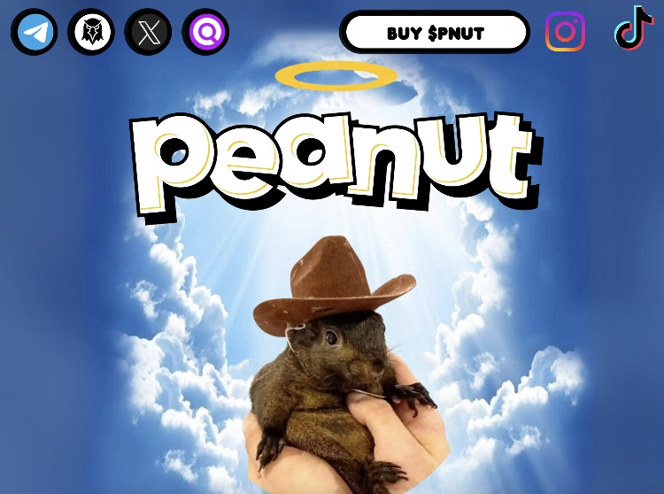peanut 1000x Kypto