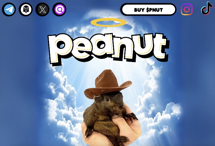peanut krypto geheimtipp