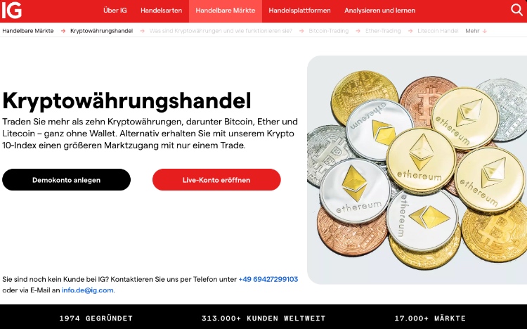 ig meme coins kaufen oder nicht