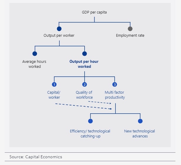 GDP per capita