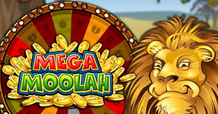 Mega Molah Gewinn von €13,2 Millionen