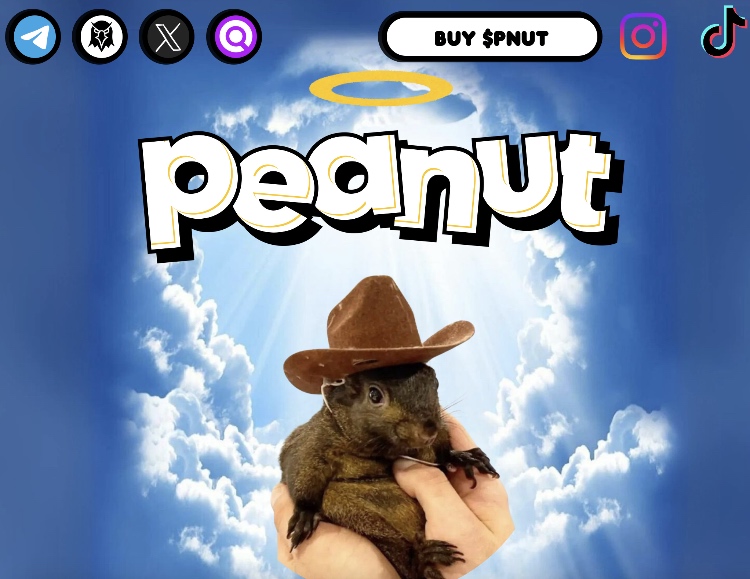 peanut the squirrel prognose