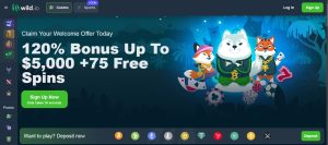 Wild.io