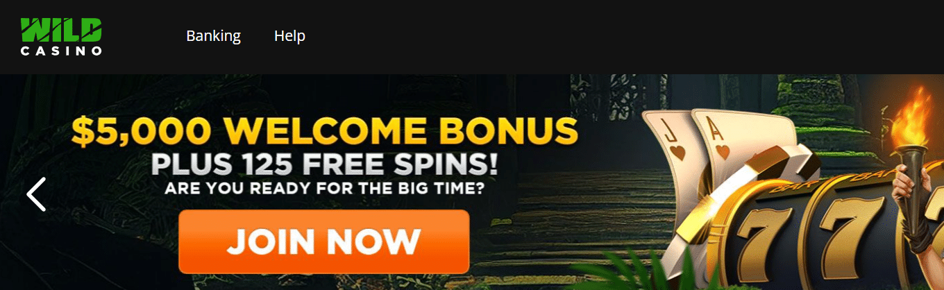 Mejores casinos con ruleta online en Estados Unidos: Wild Casino