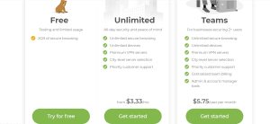Precio VPN de España TunnerBear