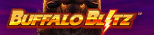 buffalo blitz
