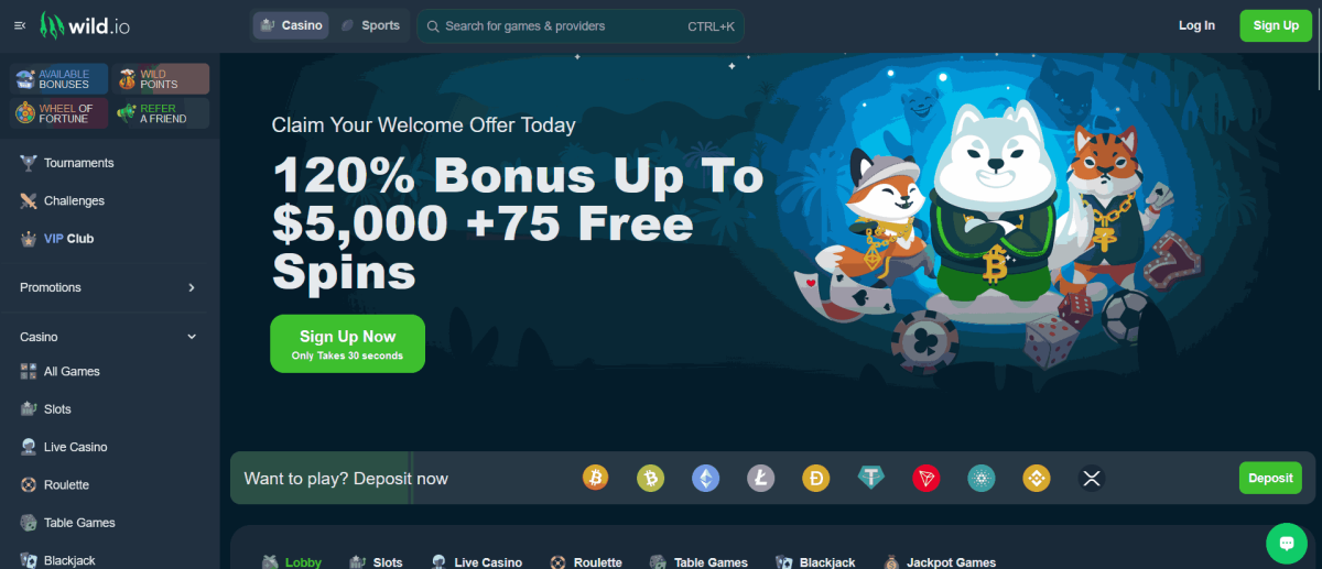Ethereum casino Wild.io