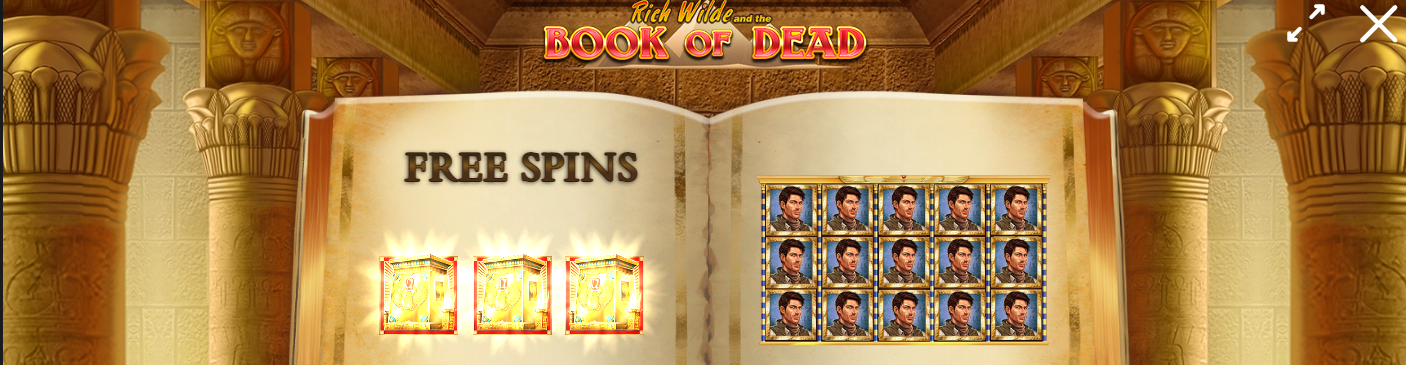 Tema y Argumento del Slot Book of Dead