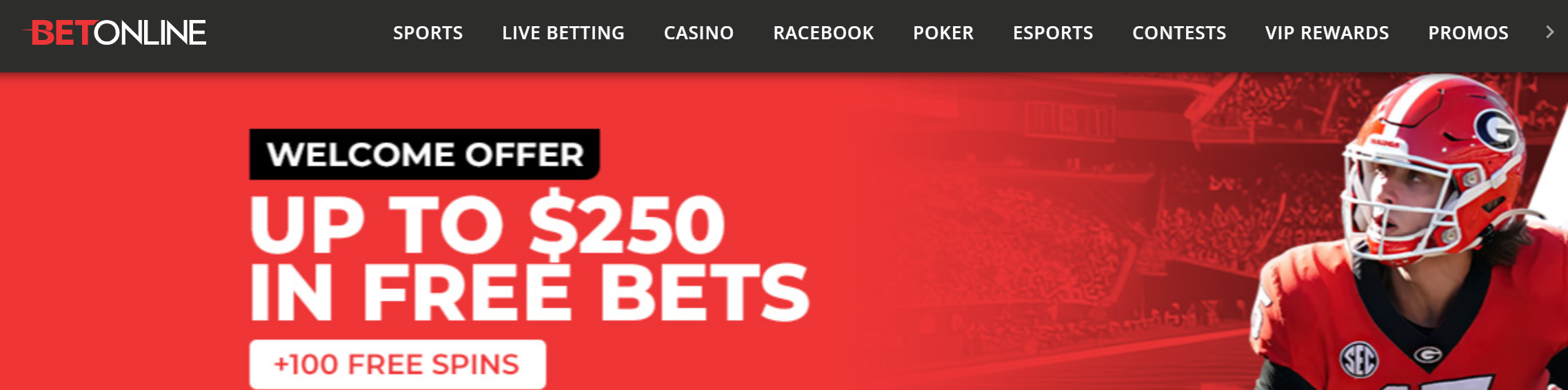 Cómo jugar en las mejores casas de apuestas en Nueva York