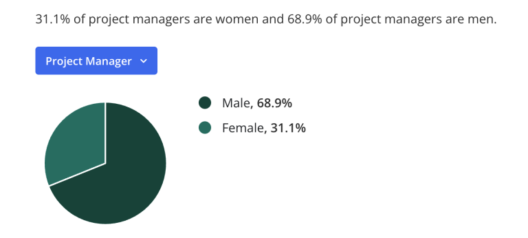 Division por sexo en project management 