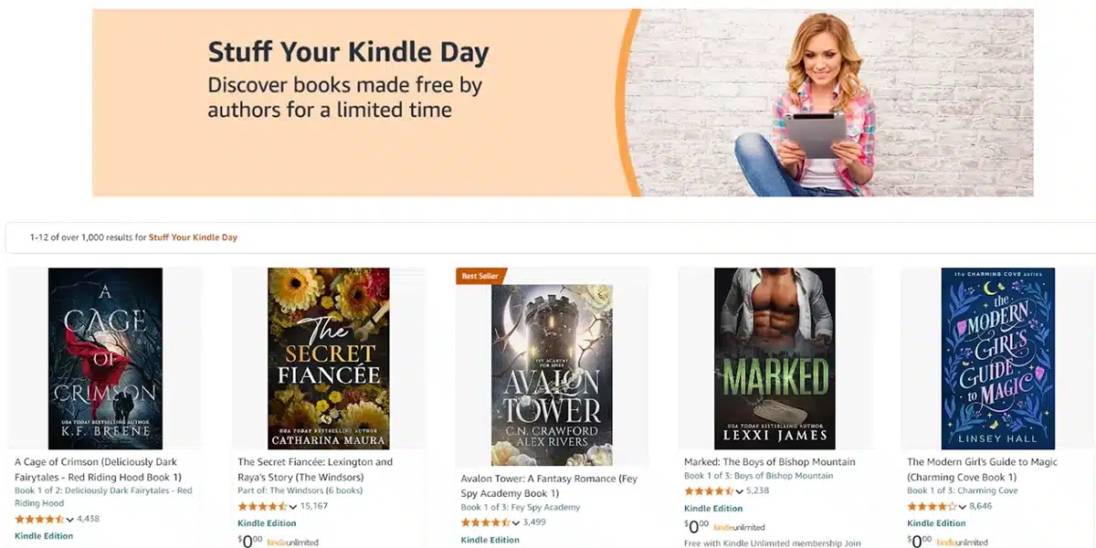 Stuff Your Kindle 2025 Amity Felicity
