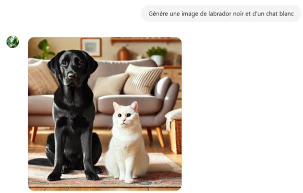 prompt gpt4o 1