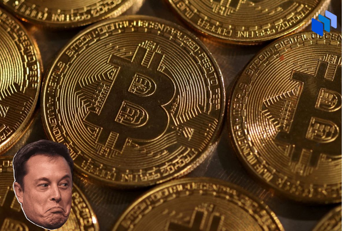 bitcoin elon musk
