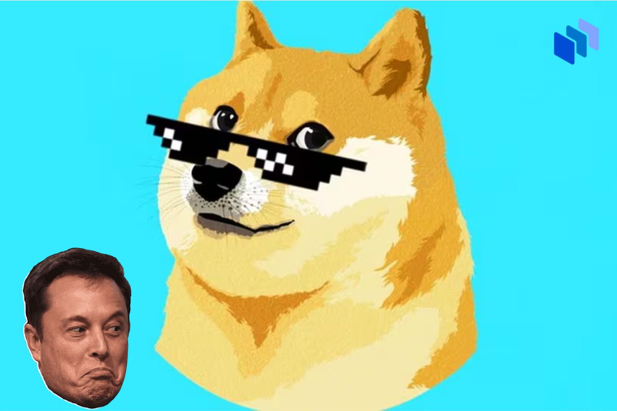 dogecoin elon musk