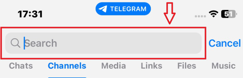 Trouvez les canaux Ligue 1 sur Telegram