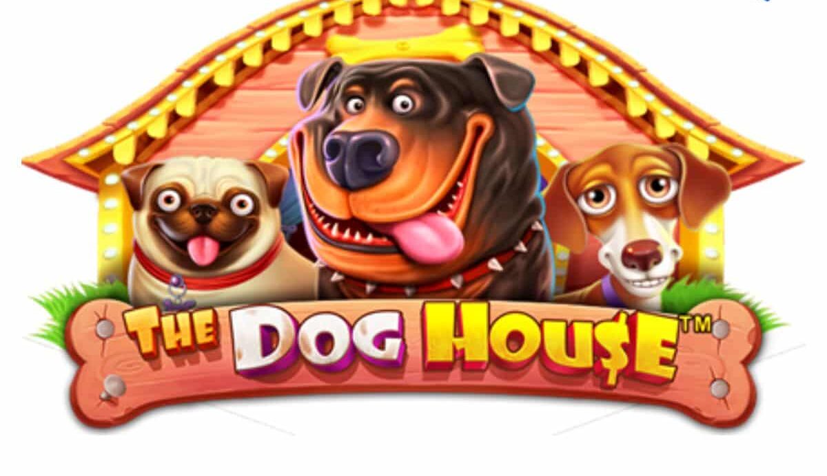 The dog house