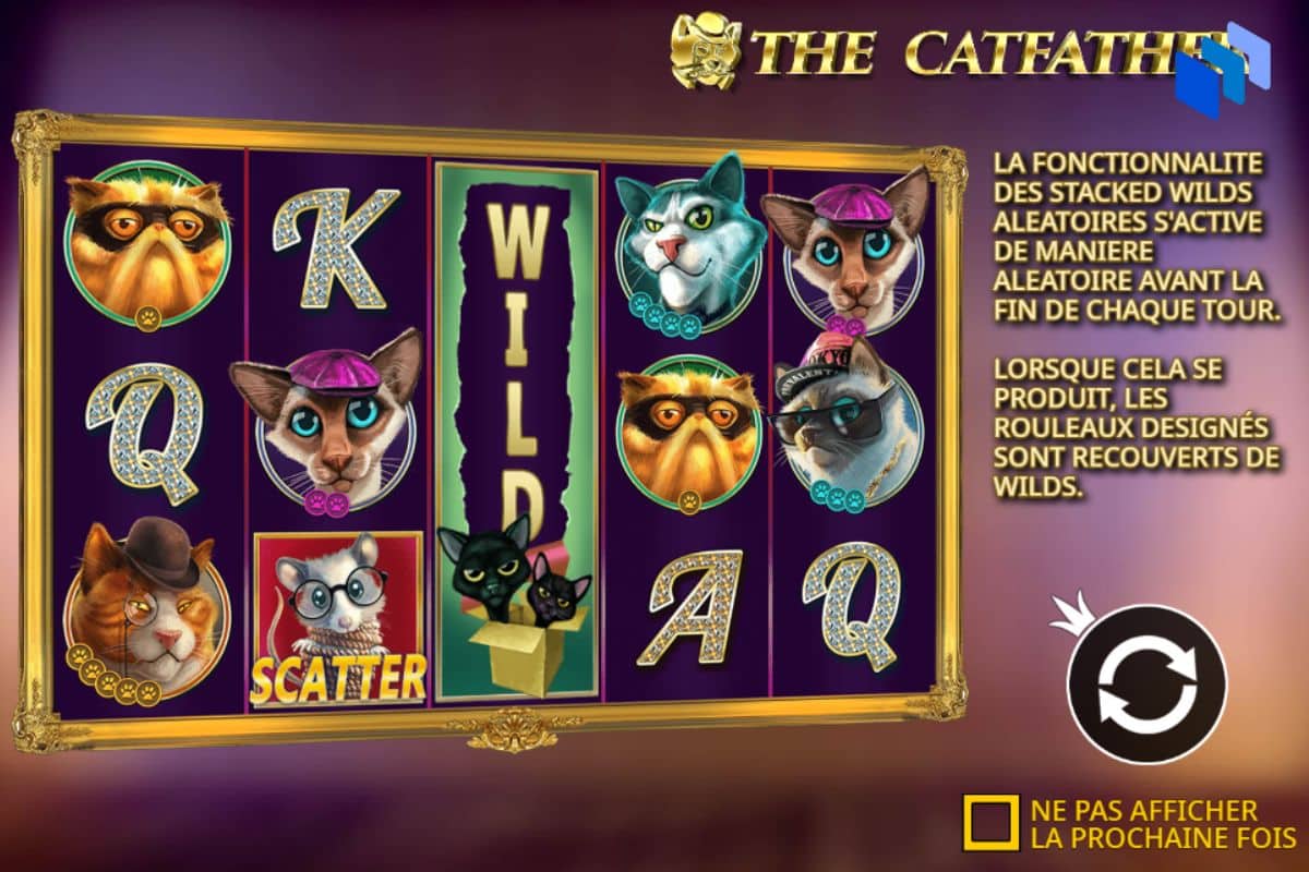 wild the catfather