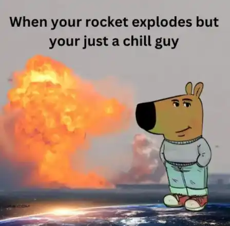 Chill Guy memecoin