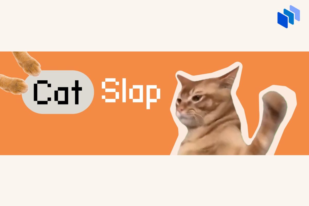 catslap prévision