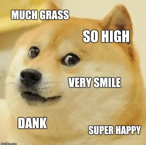 dogecoin