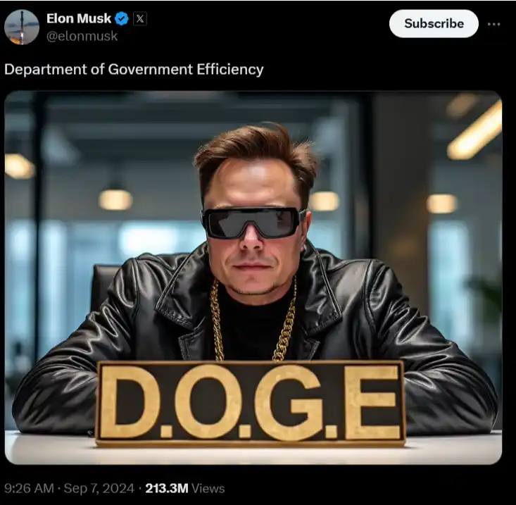 Musk D.O.G.E