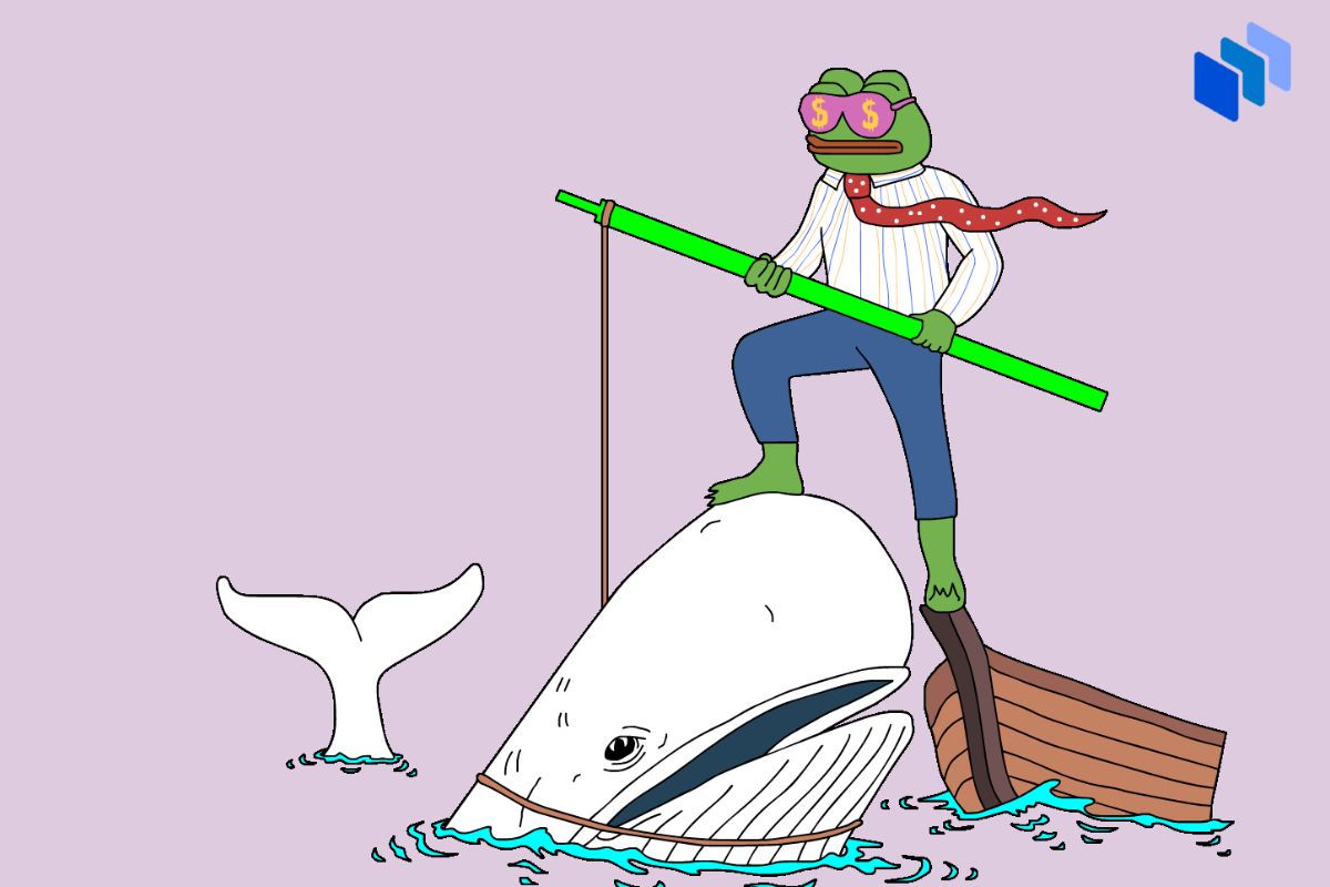 wall street pepe