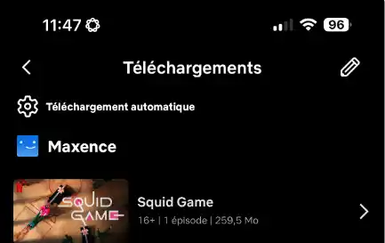 netflix téléchargement ordi