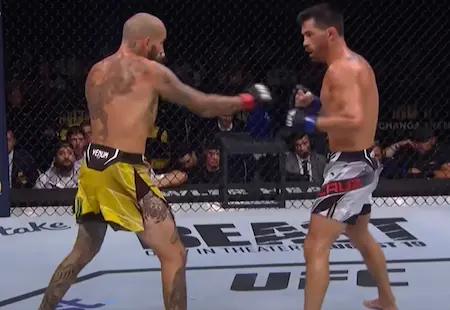ブックメーカー UFC 視聴