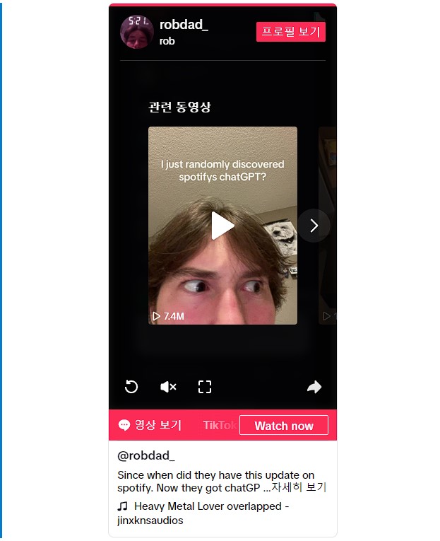 틱톡 AI 재생 목록