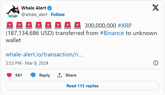 웨일 얼러트 X