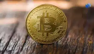 비트코인 현물 ETF, 사상 최대 규모 5억 4,100만 달러 유출 기록