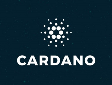 Cardano - Een echte Bitvavo coin met een blockchain platform