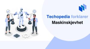 Techopedia forklarer Maskinskjevhet