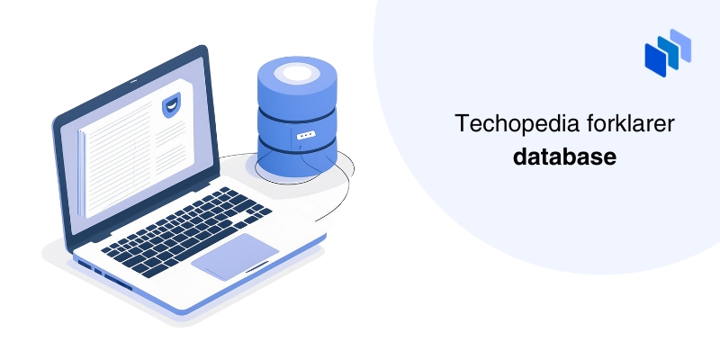 term-database