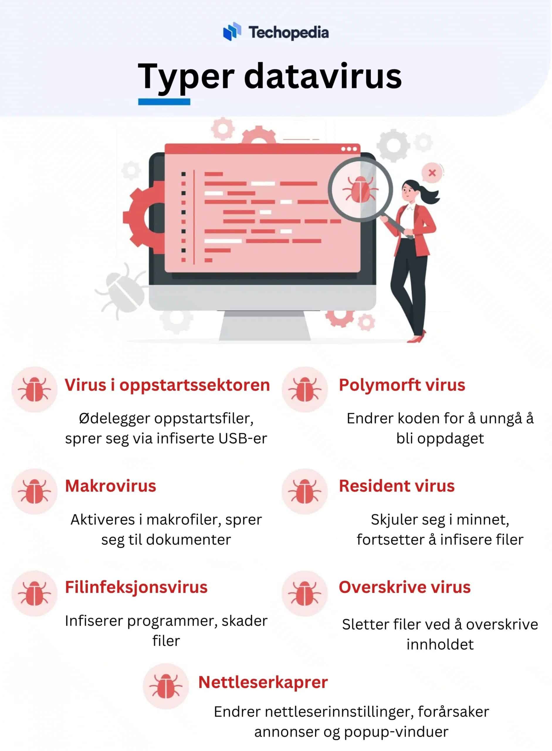 Typer virus