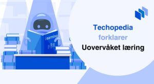 Uovervåket læring definisjon