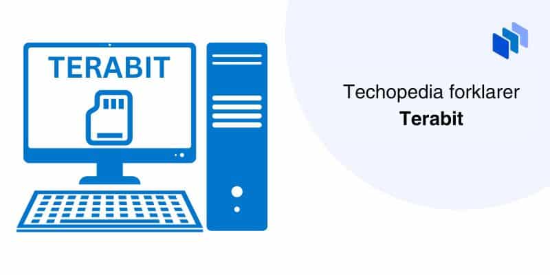 Techopedia forklarer terambit
