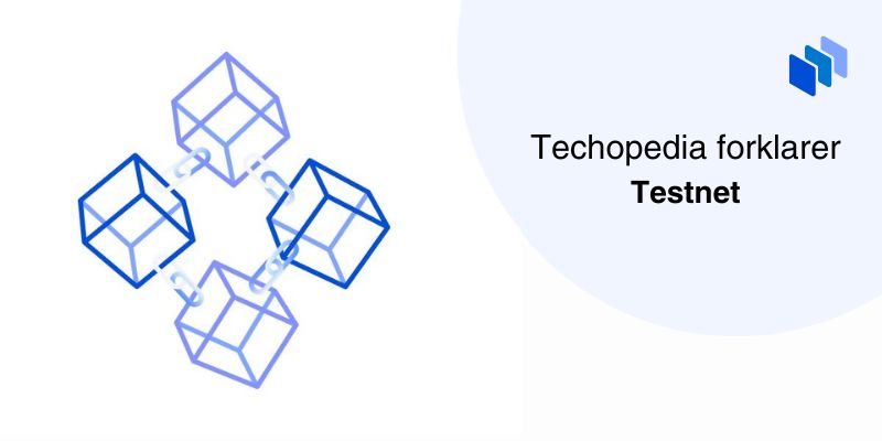 testnet-definisjon