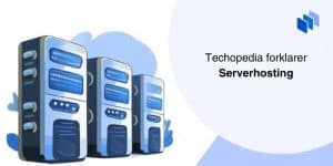 Serverhosting forklart