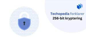 illustrasjonsbilde med hengelås og teksten Techopedia forklarer 256-bit kryptering