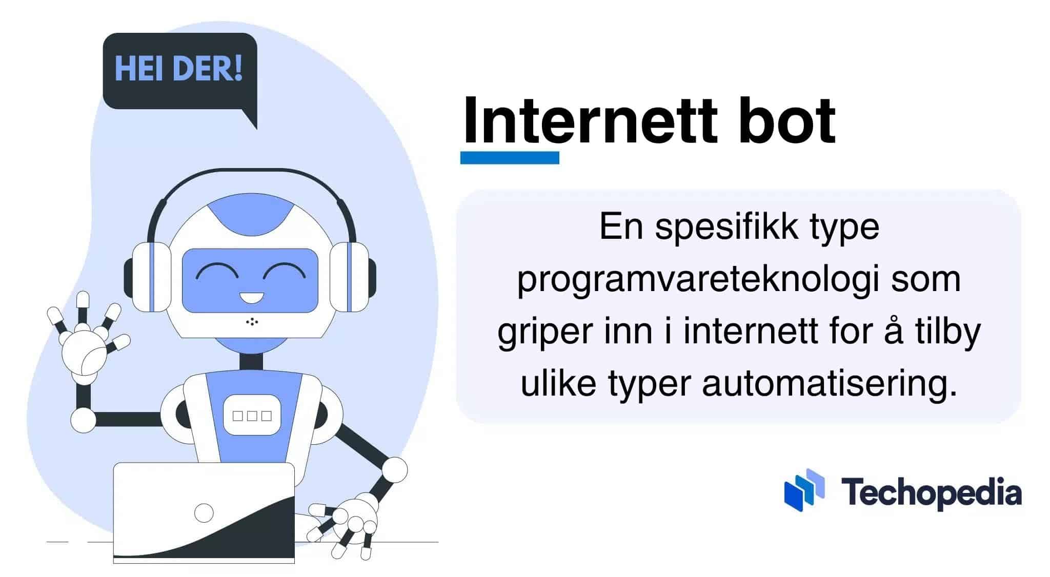 Internett bot forklart