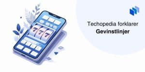 Definisjon av gevinstlinjer