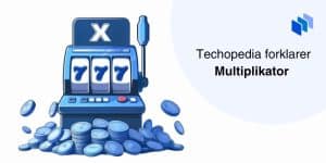 Definisjon av multiplikator