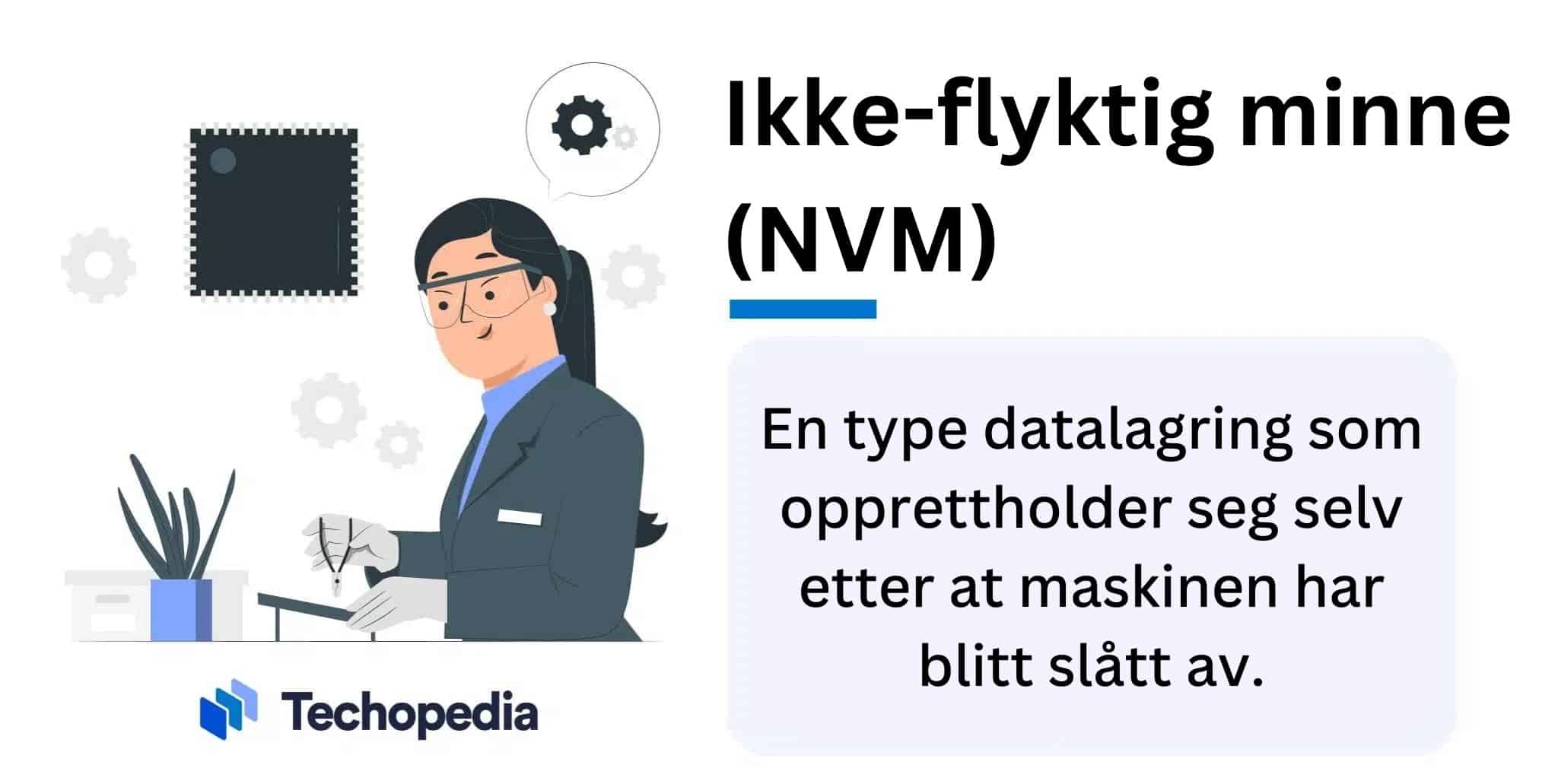 Definisjon av ikke-flyktig minne
